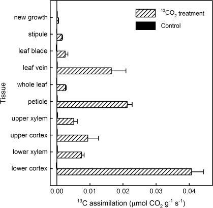 Fig. 2.