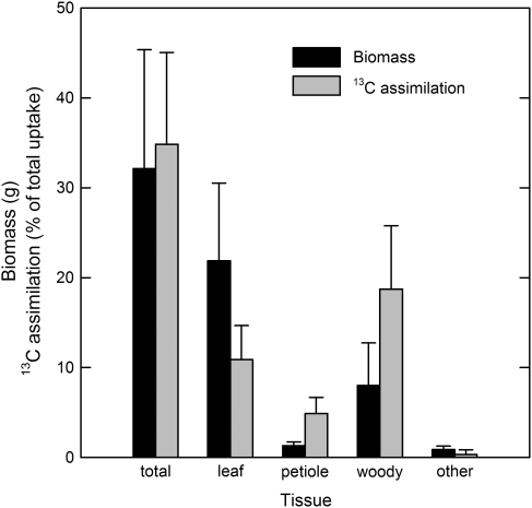 Fig. 1.