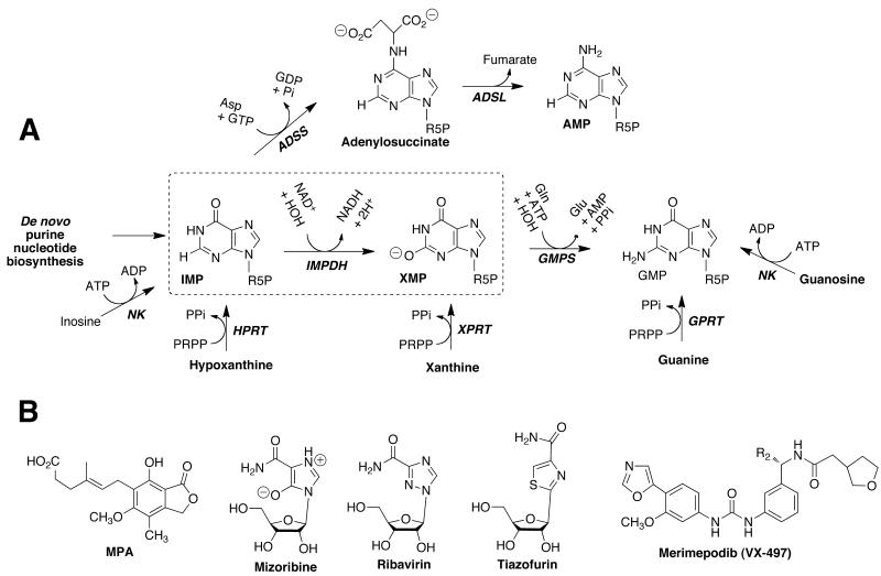 Fig. (1)