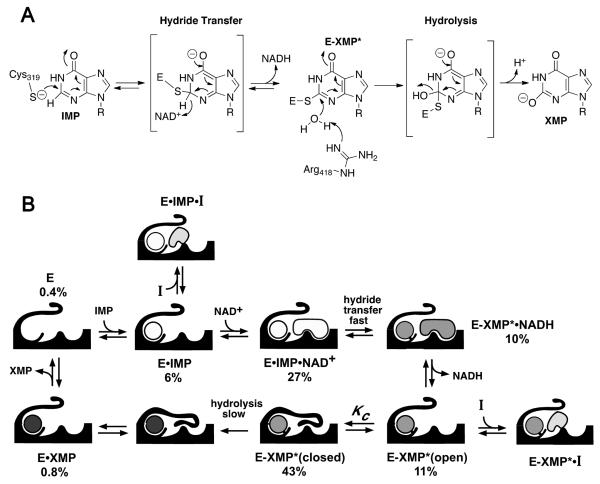 Fig. (3)