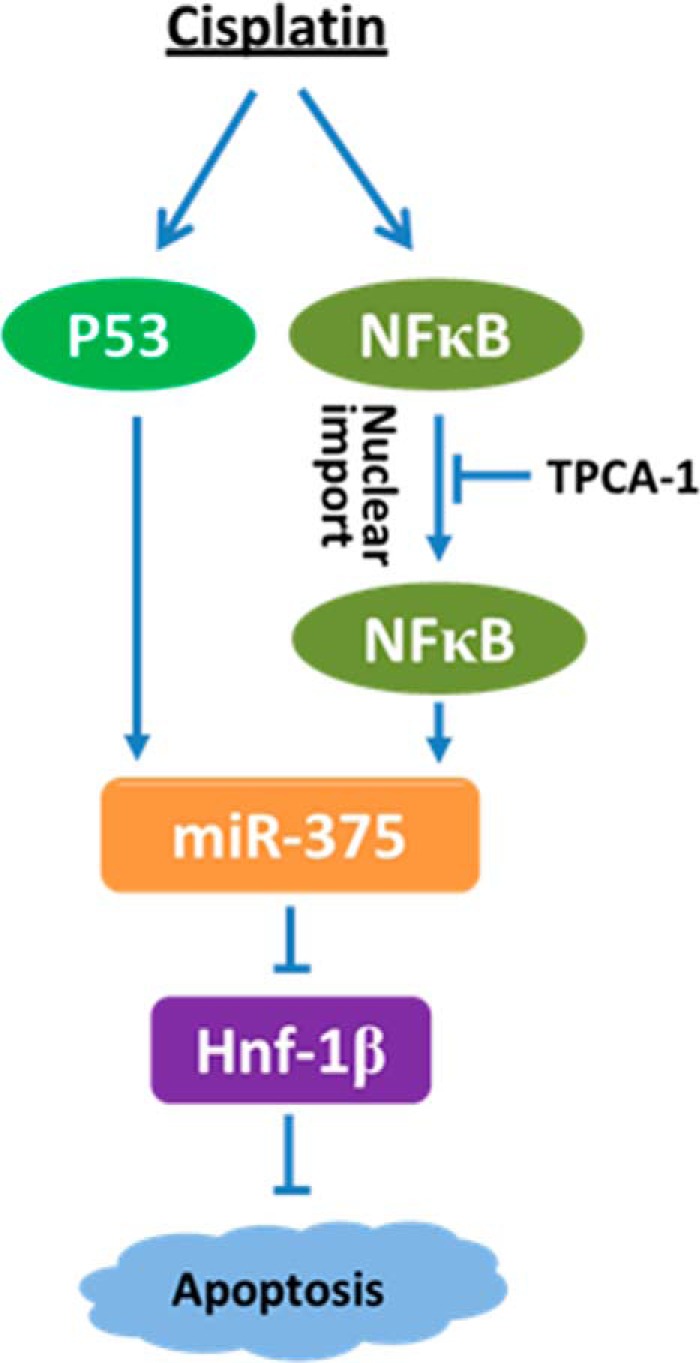 FIGURE 9.