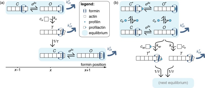 Appendix 1—figure 1.