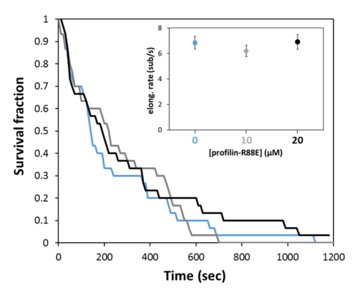 Figure 3—figure supplement 2.