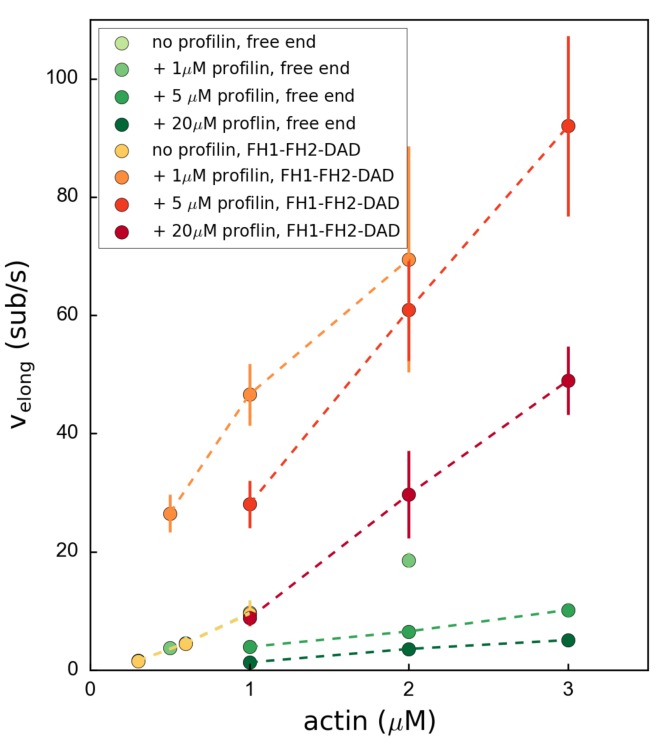 Figure 3—figure supplement 1.