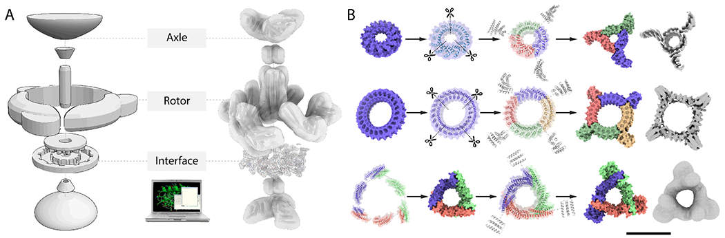 Fig. 1: