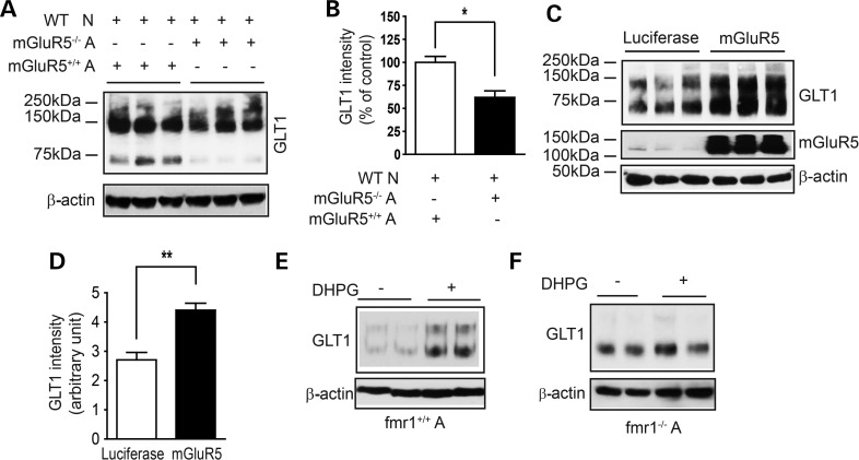 Figure 7.