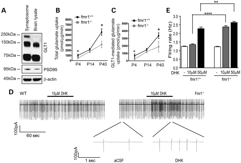 Figure 3.