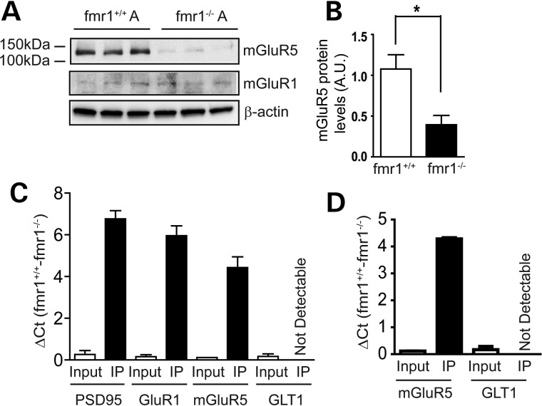 Figure 6.