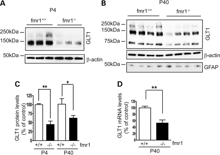 Figure 2.