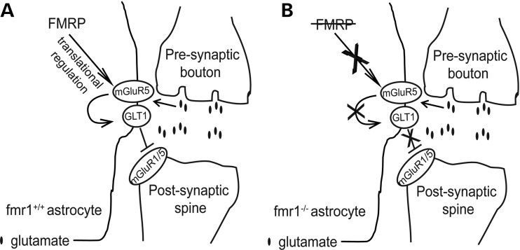 Figure 9.