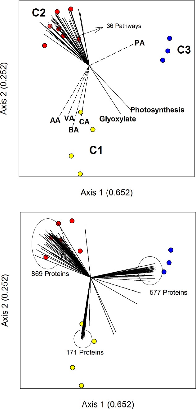 Fig 5