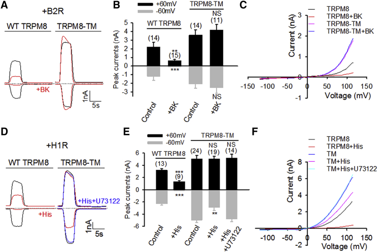 Figure 6