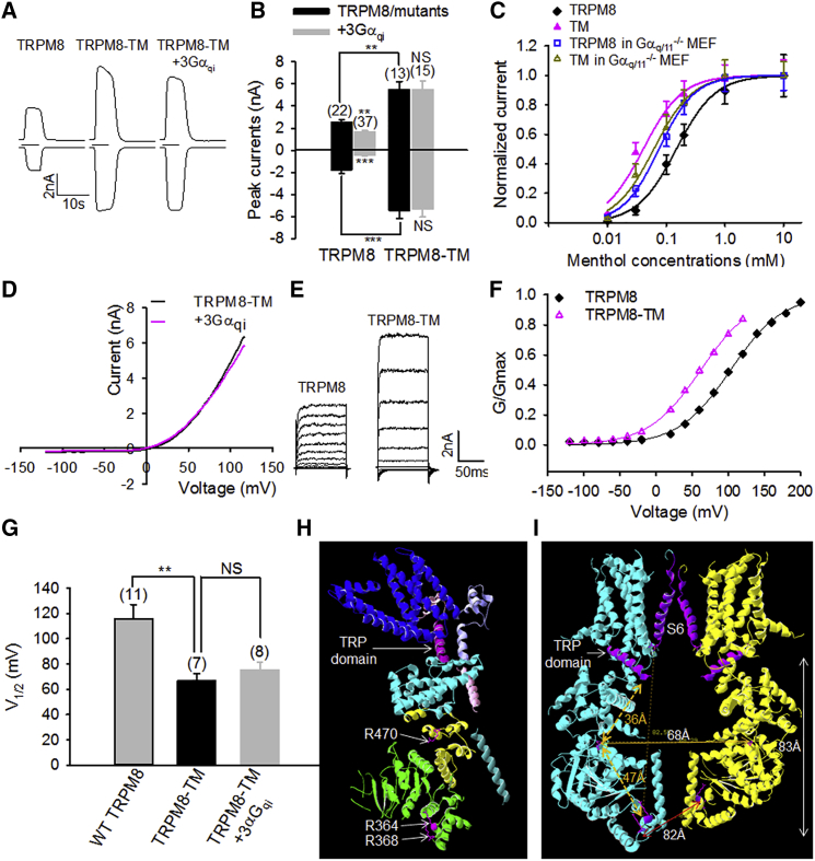 Figure 5