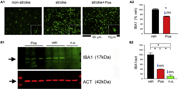 Figure 7