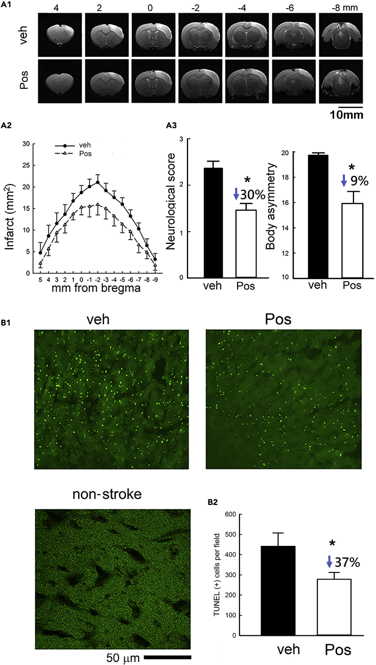 Figure 6