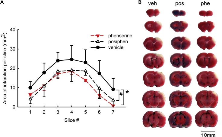 Figure 5