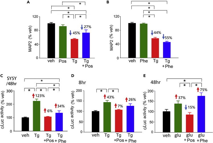 Figure 4