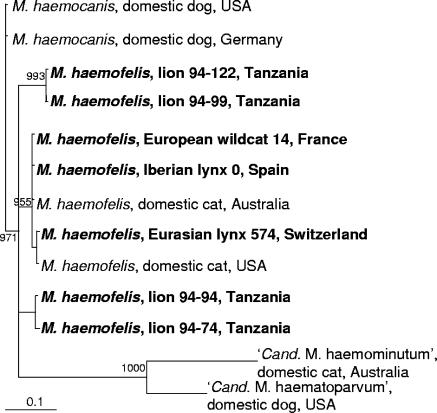 FIG. 2.