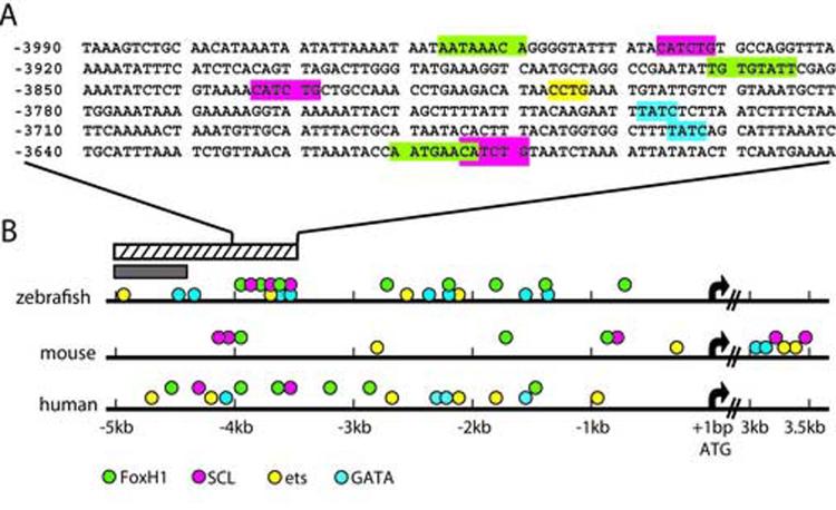 Fig.4