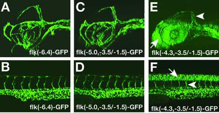 Fig.3