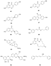 Fig. 10
