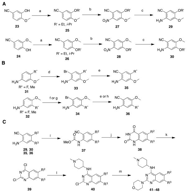 Scheme 2