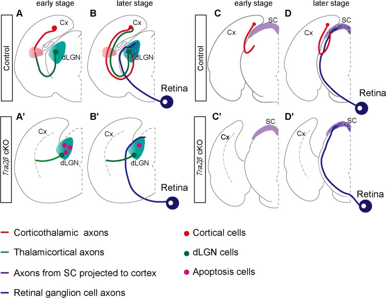 Figure 10.