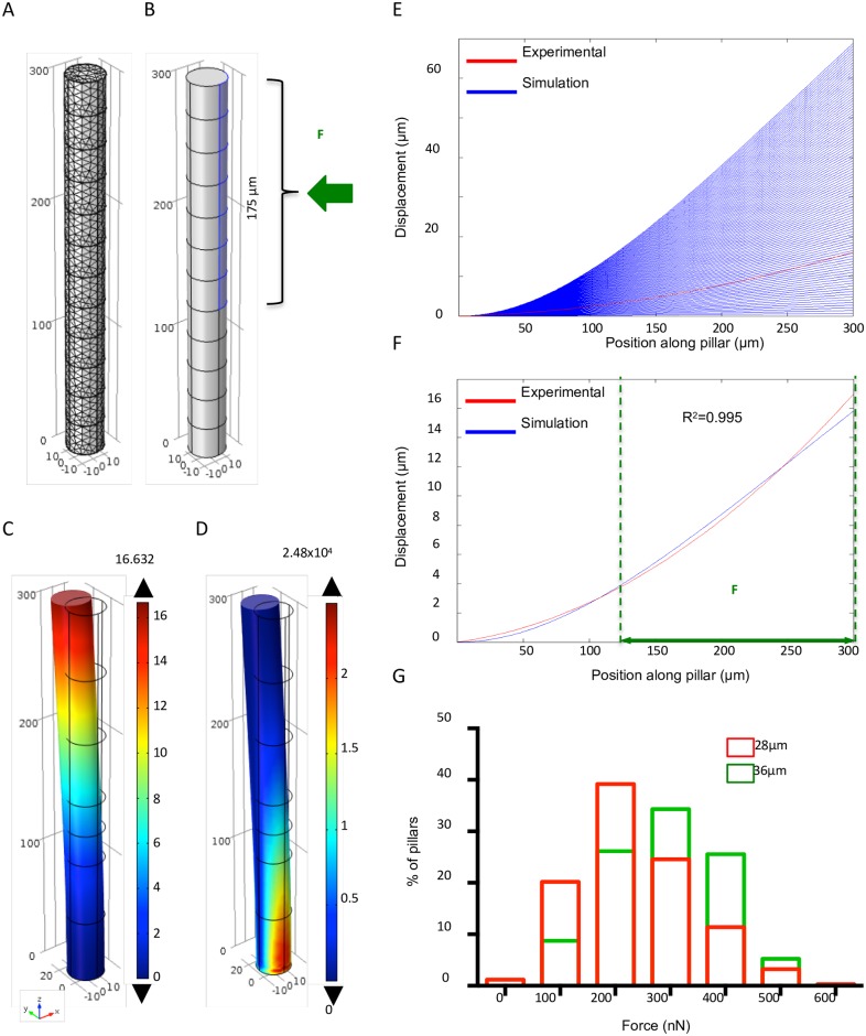 Fig 4