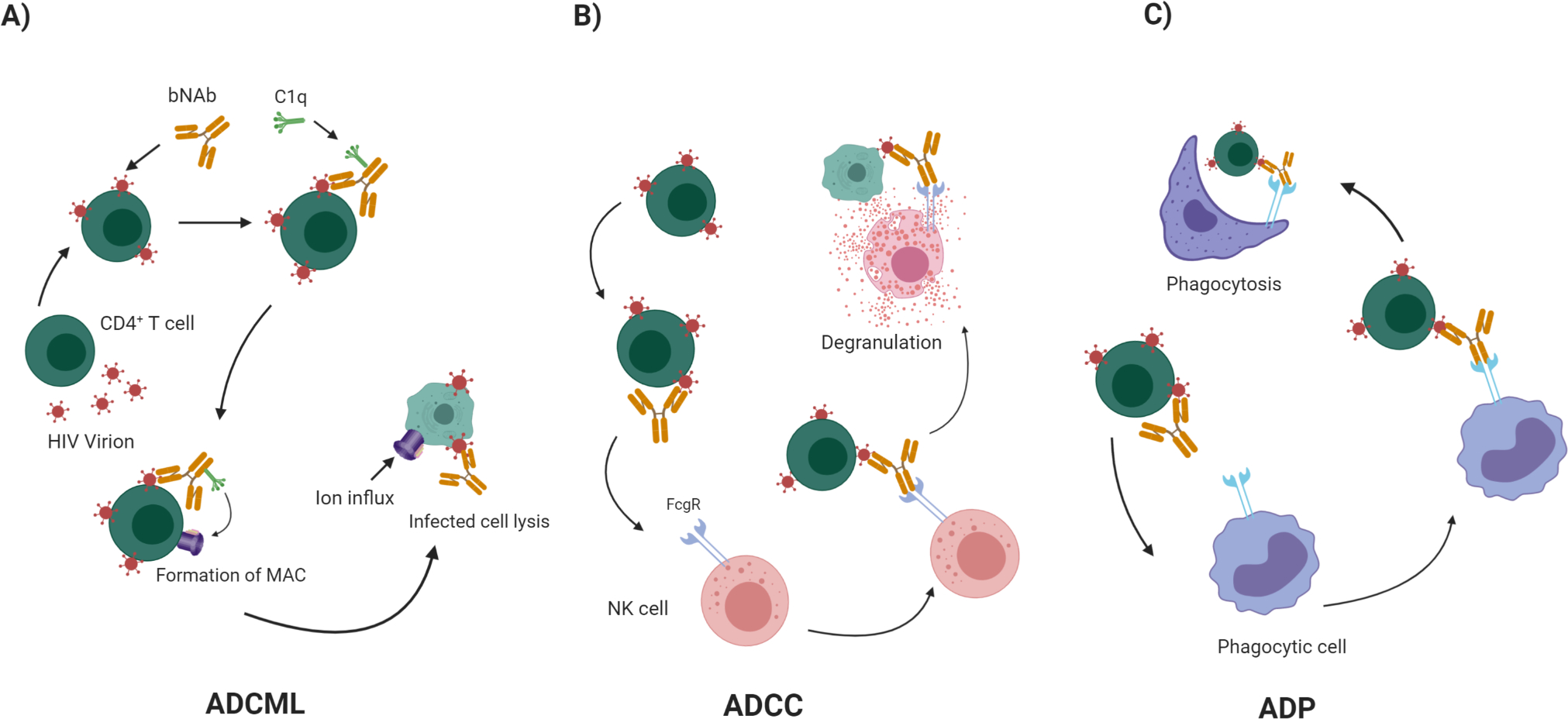 Figure 1: