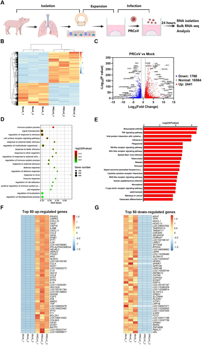 FIG 6