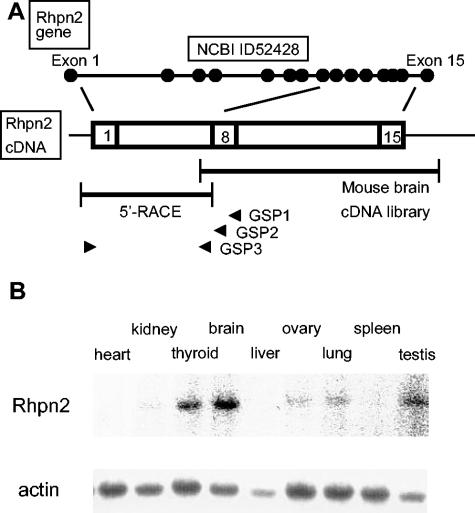 FIG. 1.