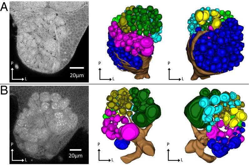 Fig. 4.