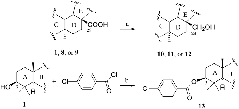 Scheme 1.