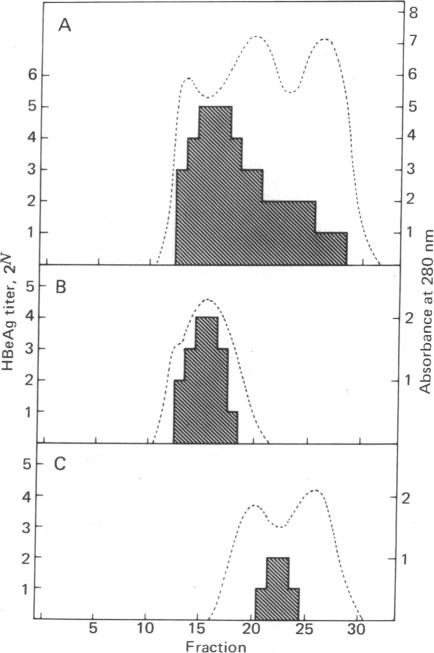 graphic file with name pnas00016-0351-a.jpg