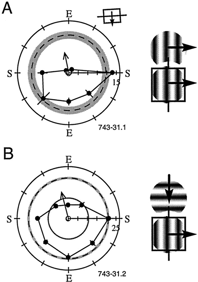 Fig. 10.