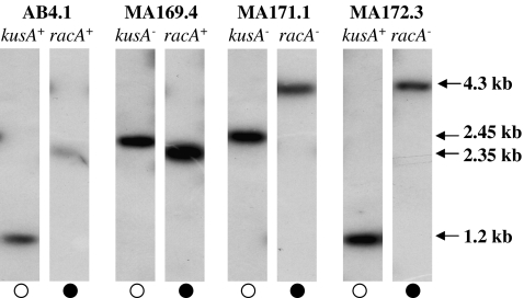 Fig. 7