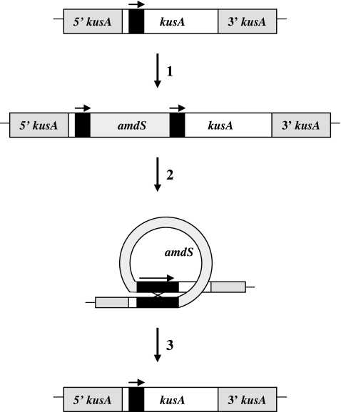 Fig. 6