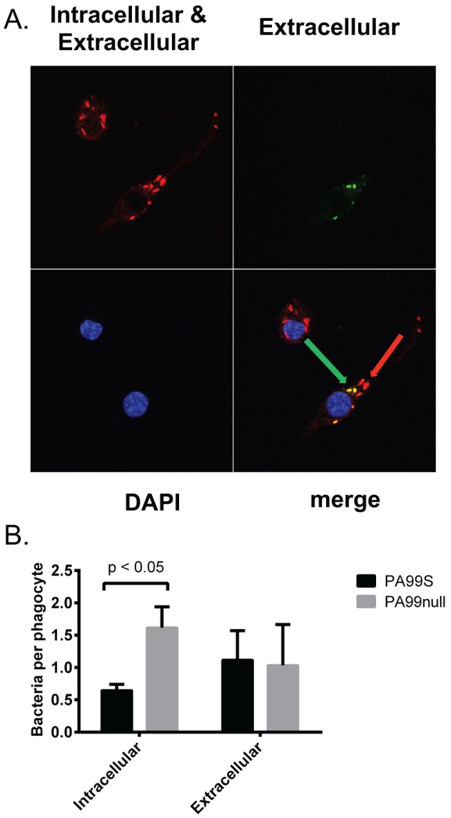 FIG 4 