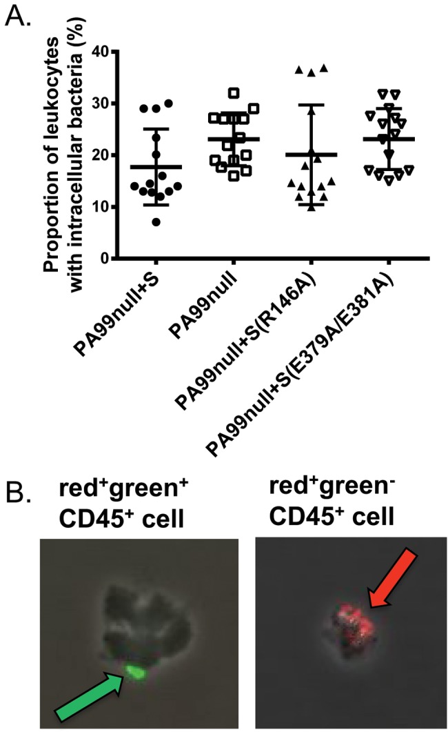 FIG 5 