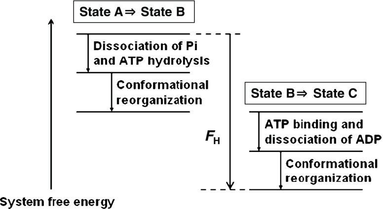 Fig. 8