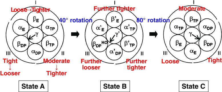 Fig. 7