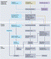 Fig. 2 |
