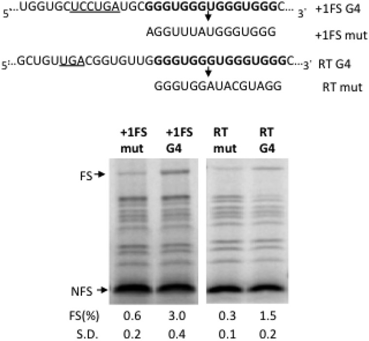 Figure 5.