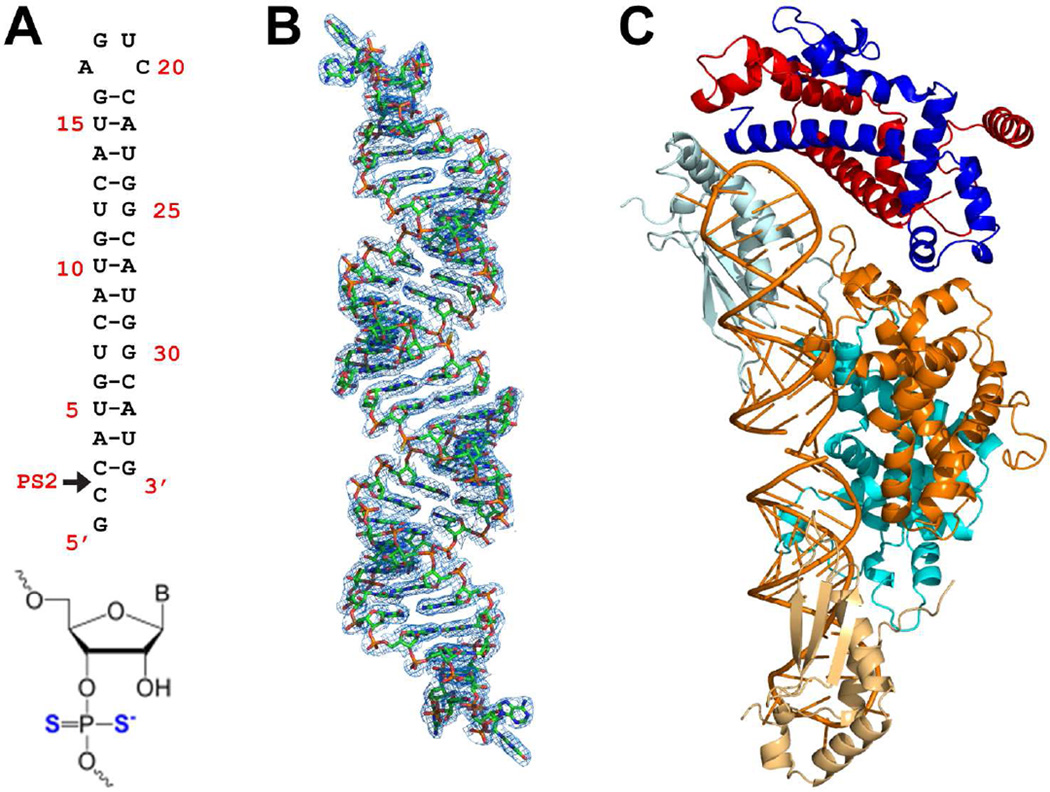 Figure 4