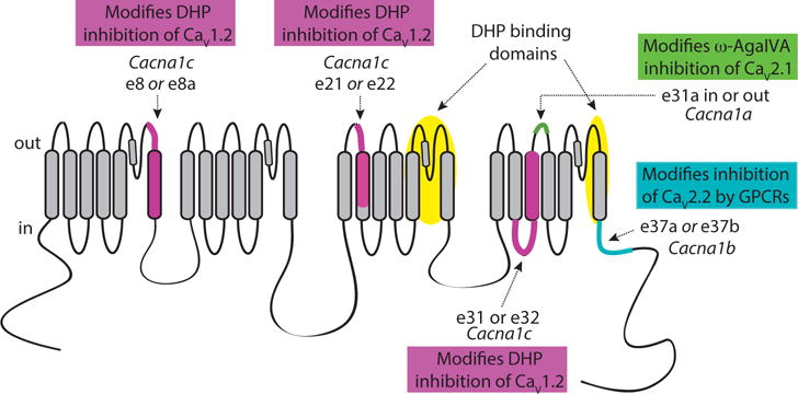 Fig. (3)