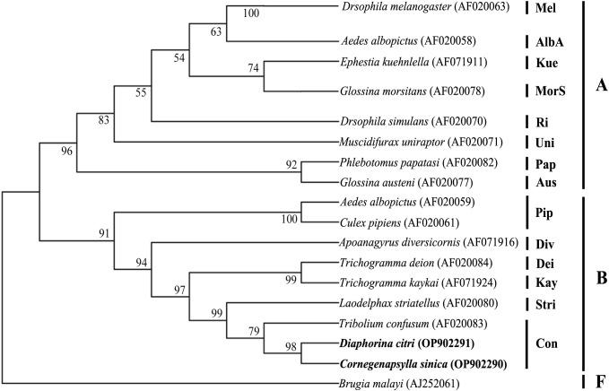 Figure 3