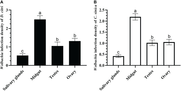 Figure 6