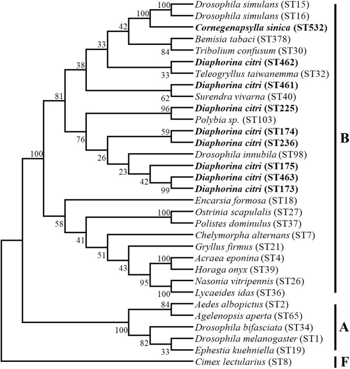 Figure 5