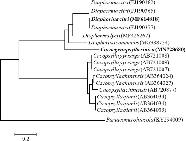 Figure 2