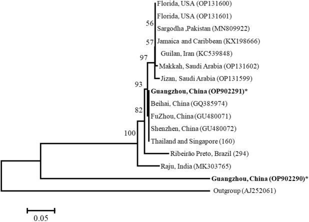 Figure 4